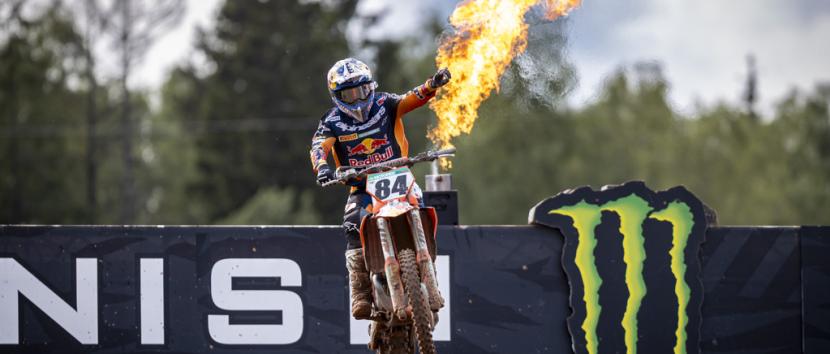 Herlings