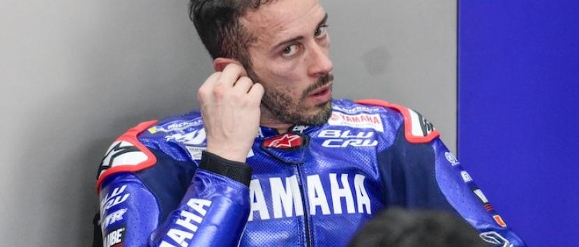 Dovi