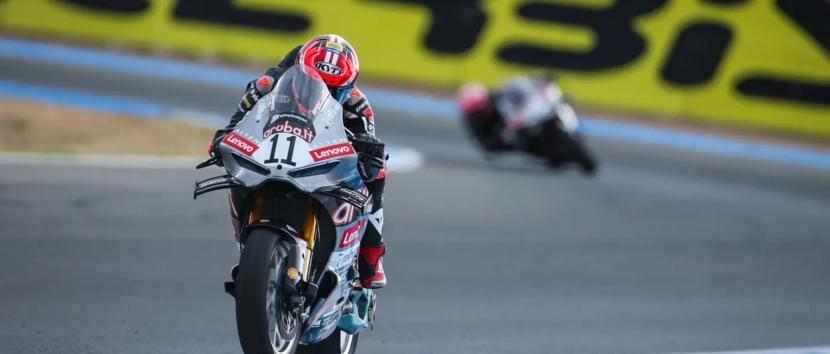 bulega