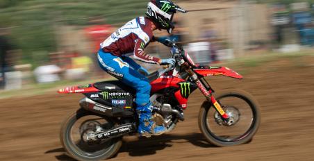 Desmo450 MX
