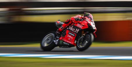 Nicolo Bulega - Phillip Island WorldSBK 2025 - Ducati