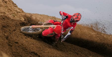 Desmo 450MX