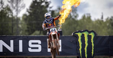 Herlings