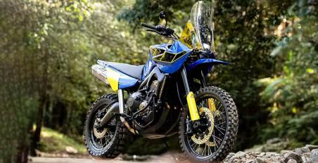 Custom Tenere 900