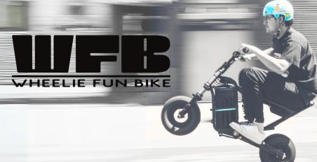 Wheelie Fun Bike