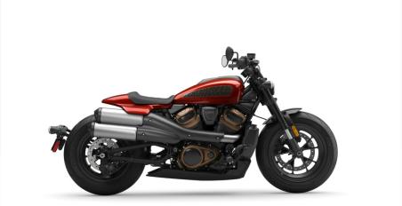 sportster 