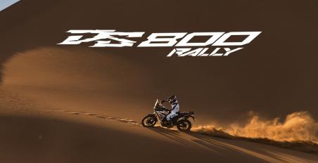 DS800X Rally