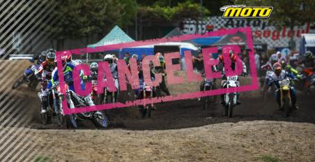 mx 