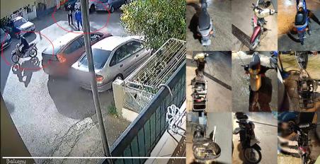 Κλοπές παπιών από συμμορία στα Χανιά