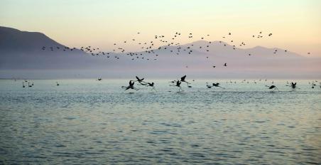 ANDELI ROUPEL TRIP 2026