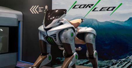 kawasaki corleo