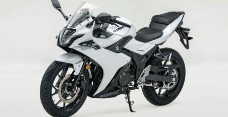 Suzuki 250