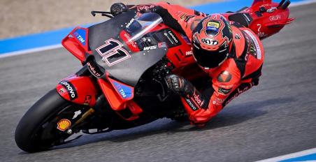 bulega