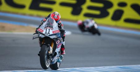 bulega