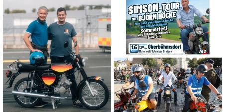 Simson - AfD