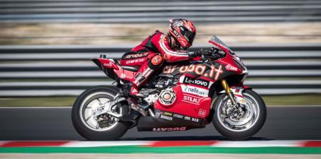 bulega