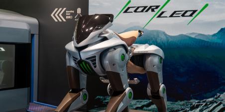 kawasaki corleo