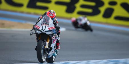 bulega