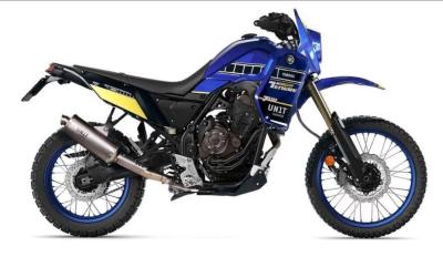 Tenere 600 kit