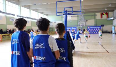 EKO Mini Basket