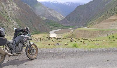 KOVE SILK ROAD