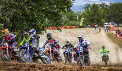 MX