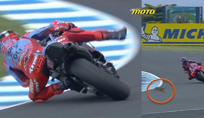 MotoGP Phillip Island PR: Ταχύτεροι οι Marquez σε επεισοδιακές δοκιμές με λαγούς και πτώσεις!