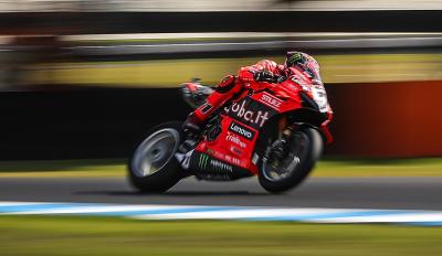 Nicolo Bulega - Phillip Island WorldSBK 2025 - Ducati