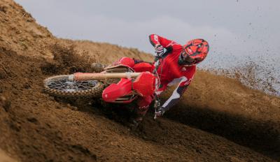 Desmo 450MX