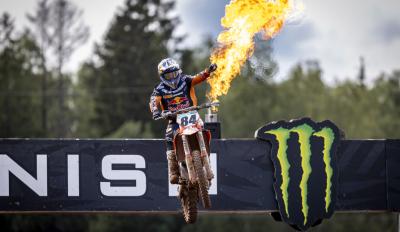 Herlings