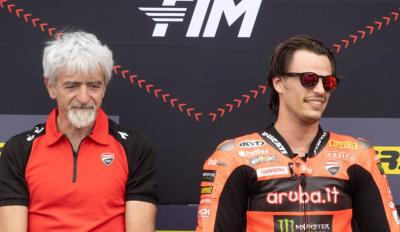 Bulega