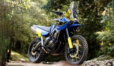 Custom Tenere 900