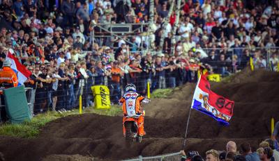 HERLINGS
