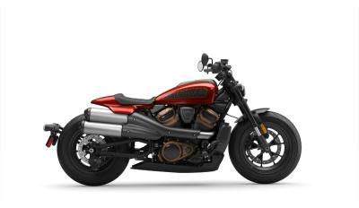 sportster 