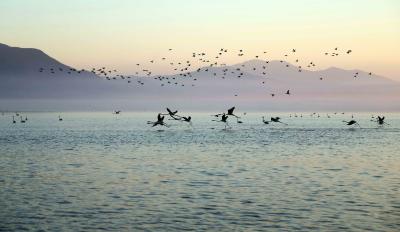 ANDELI ROUPEL TRIP 2026