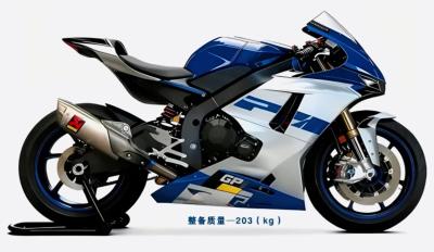 ZXMOTO 1000RR
