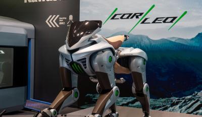 kawasaki corleo