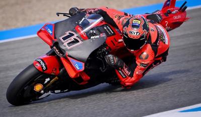 bulega