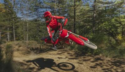 DRE Desmo 450 EDS