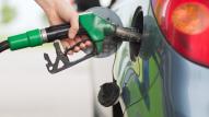 Fuel sample fined