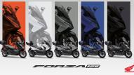 Forza 125 - 350 26MY
