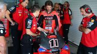 bulega