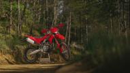 ducati desmo450 eds