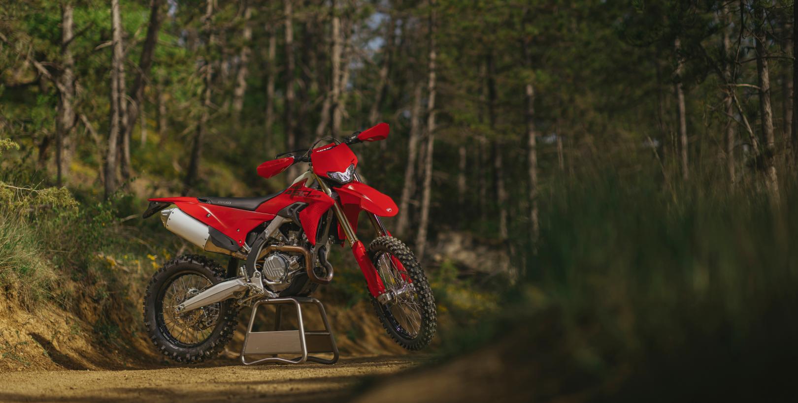 ducati desmo450 eds