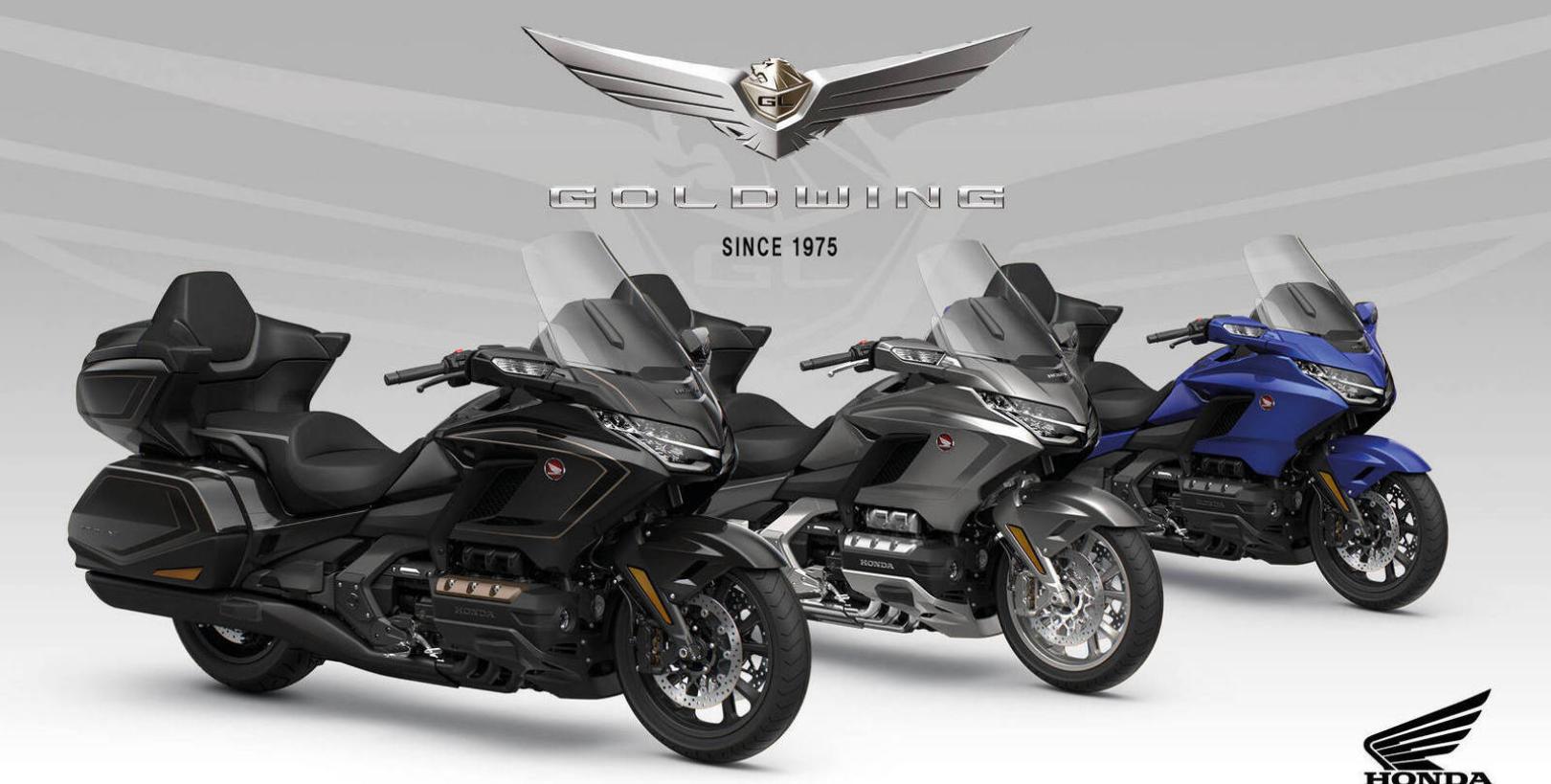gold wing