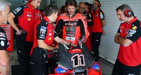 bulega