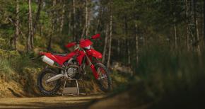 ducati desmo450 eds