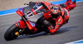 bulega