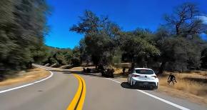 usa corola bikers accident