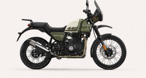 himalayan